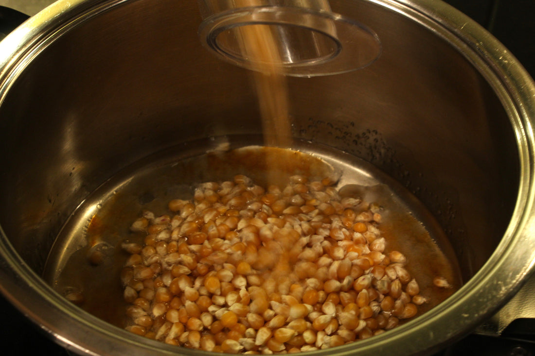 Popcornmais wird in einen Topf gegeben